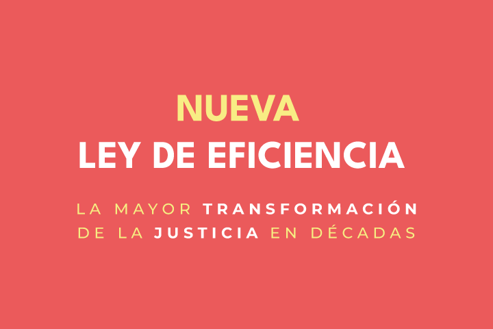 Ley de eficiencia
