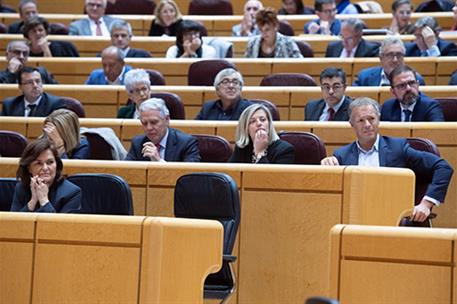 6/11/2018. La vicepresidenta en el Senado. La vicepresidenta del Gobierno, ministra de la Presidencia, Relaciones con las Cortes e Igualdad,...