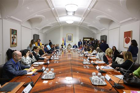 17/10/2019. Reunión de la Conferencia Sectorial de Igualdad